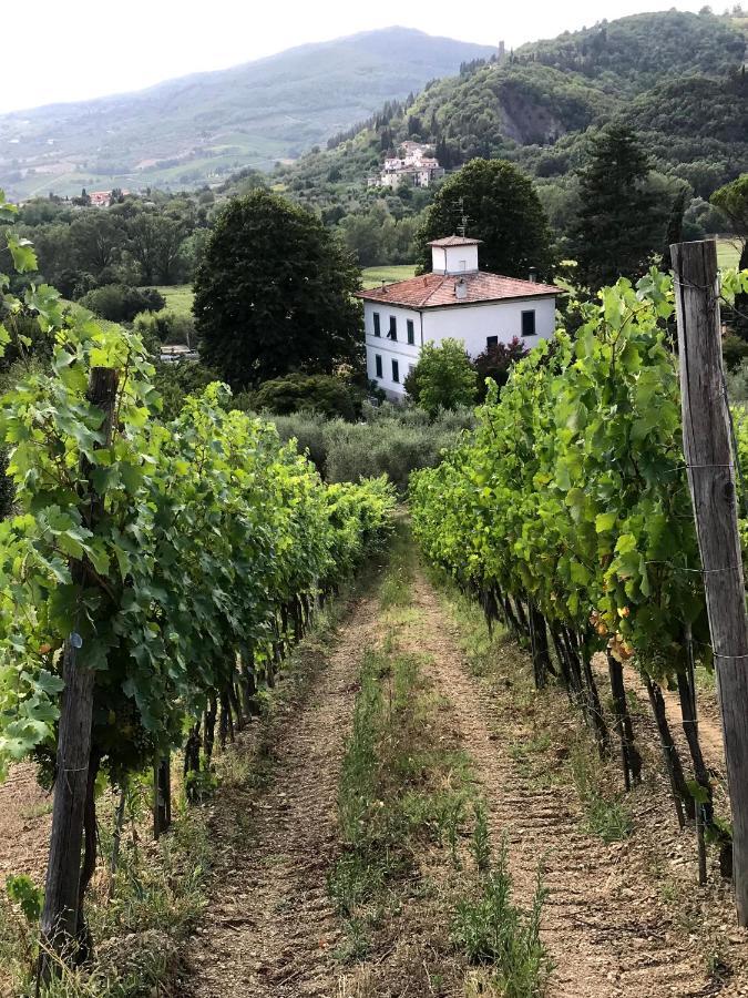 Il Pezzatino Guest House Rufina Exterior photo